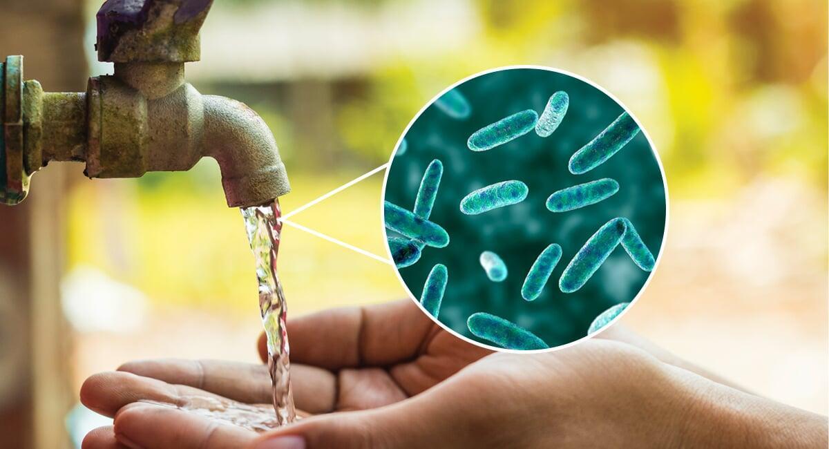 Building a network of citizen scientists to help protect our water resources